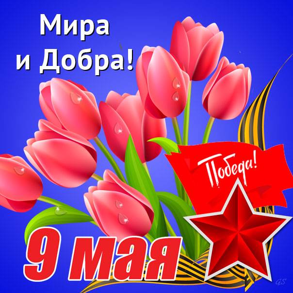 135313685_9_maya_mira_i_dobra.jpg