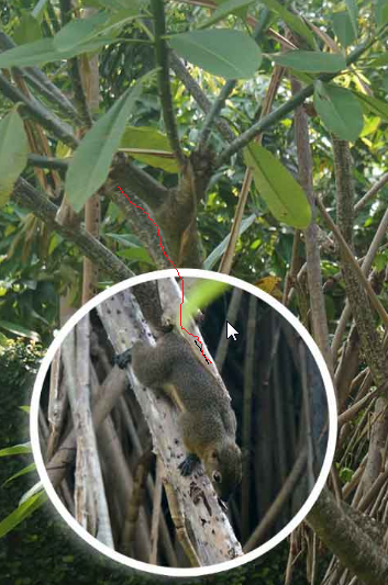 Скриншот 2018-03-02 11_20_01 (1).png