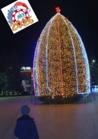 Screenshot_20251224-192114 (1).jpg